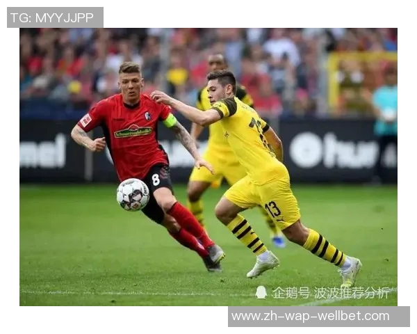 德甲前瞻：弗赖堡伤兵满营多特或将重点放在欧冠赛事上