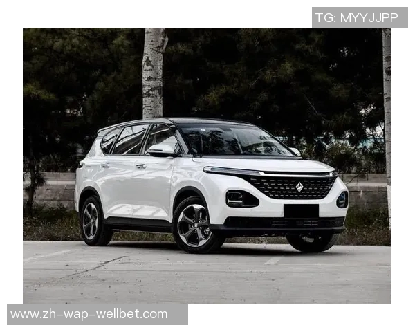 现代385vs全新对比评测揭示未来科技与传统设计的完美融合 现代385vs全新对比评测揭示未来科技与传统设计的完美融合